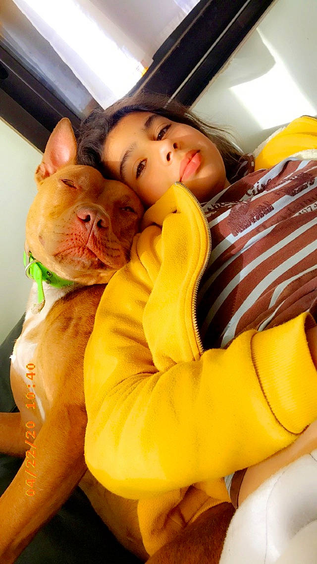 Ouna participe au concours pour gagner de l'argent avec cette photo : carnivore, comfort, companion_dog, dog_breed, fawn, felidae, fur, gesture, happy, human_leg, mouth, orange, selfie, small_to_medium_sized_cats, snout, stuffed_toy, textile, thumb, toy, whiskers