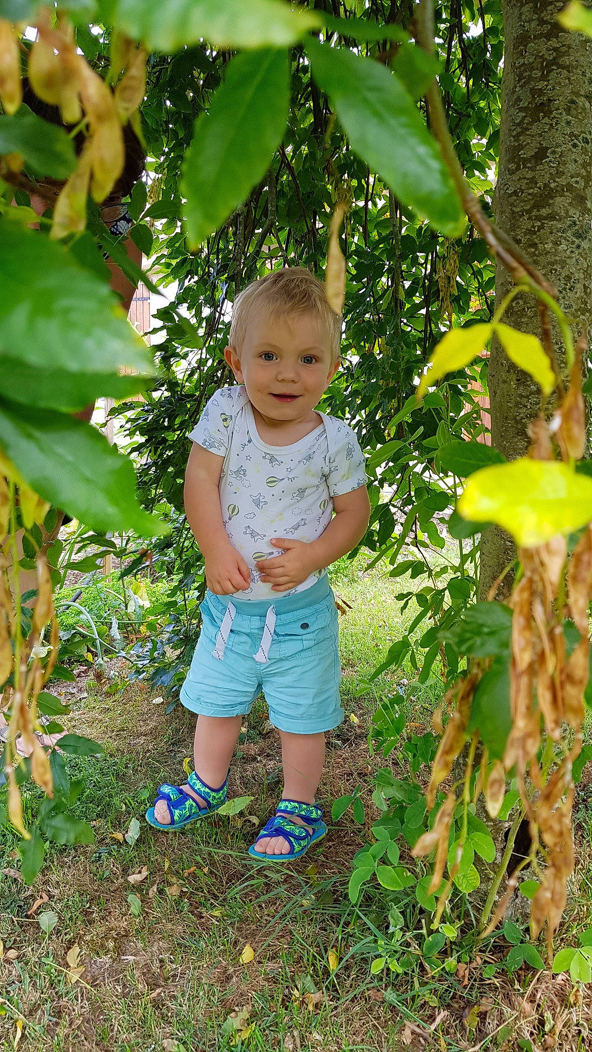 Math?o participe au concours pour gagner de l'argent avec cette photo : adaptation, botany, child, flower, fruit_tree, jungle, person, plant, toddler, tree