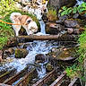Voltaire participe au concours pour gagner de l'argent avec cette photo : dog, leash, stream, waterfall, rocks, moss, grass, greenery, nature, outdoor, rust, metal, flowing_water, canine, curious, forest, small_waterfall, animal, daylight, scenic