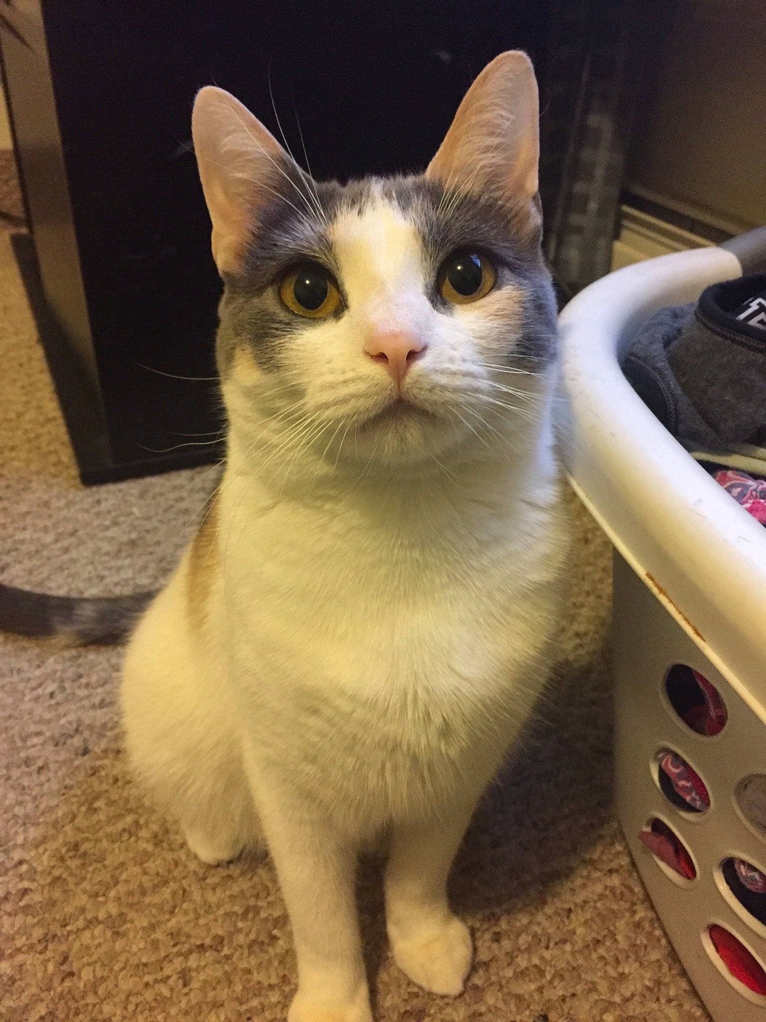 Heaven is registered to the contest to win money with this photo: