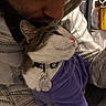 affection, casual_clothing, cat, closeup, collar, comfort, cuddle, domestic, face, feline, gentle, human, indoor, love, person, pet, purple_sweater, relaxed, tag, whiskers