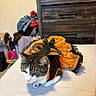 animal, bed, black, butterfly_wings, cat, clothes, costume, cute, decorative, fabric, furniture, green_eyes, household, indoor, orange, pet, relaxed, resting, tabby_cat, white_fur