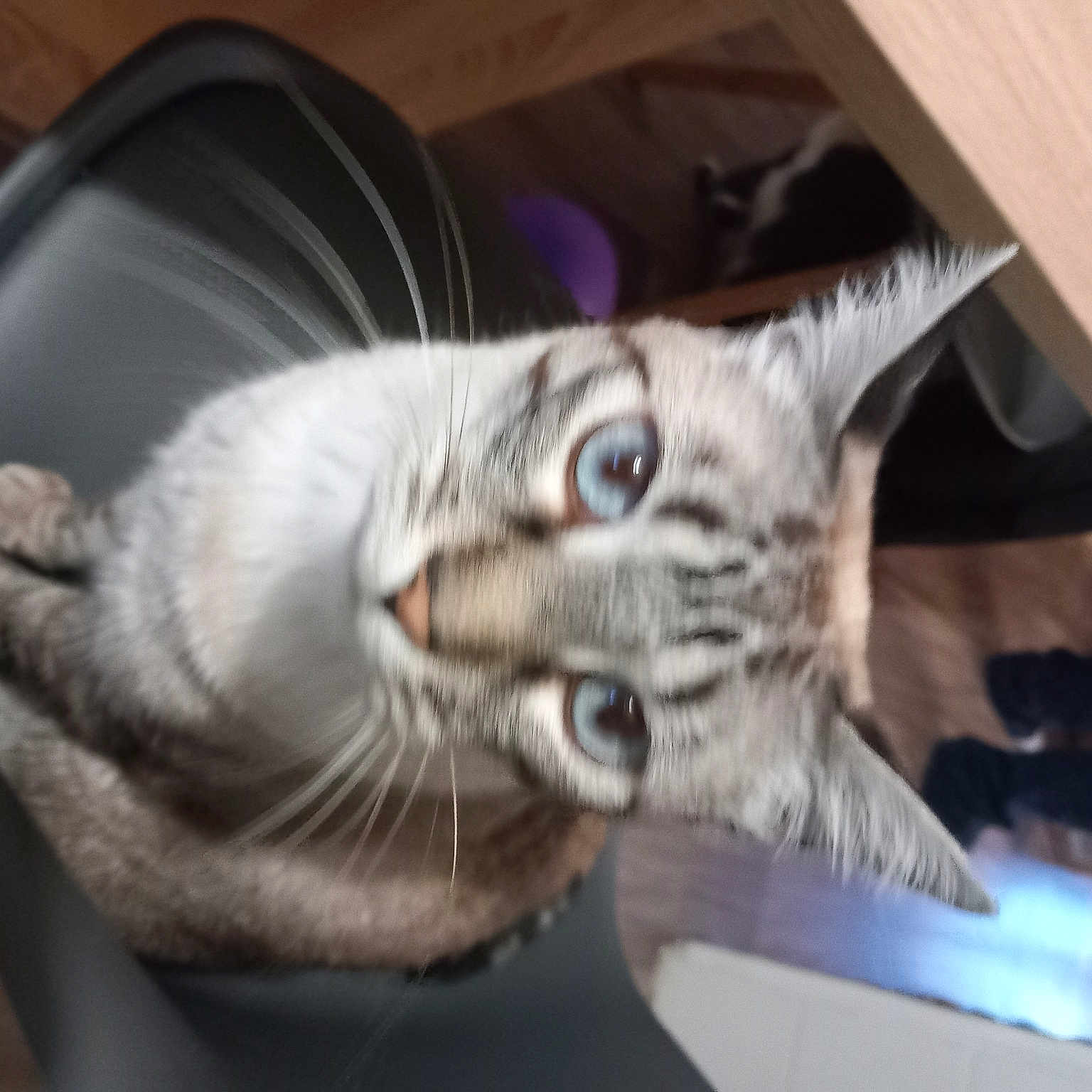 Romeo