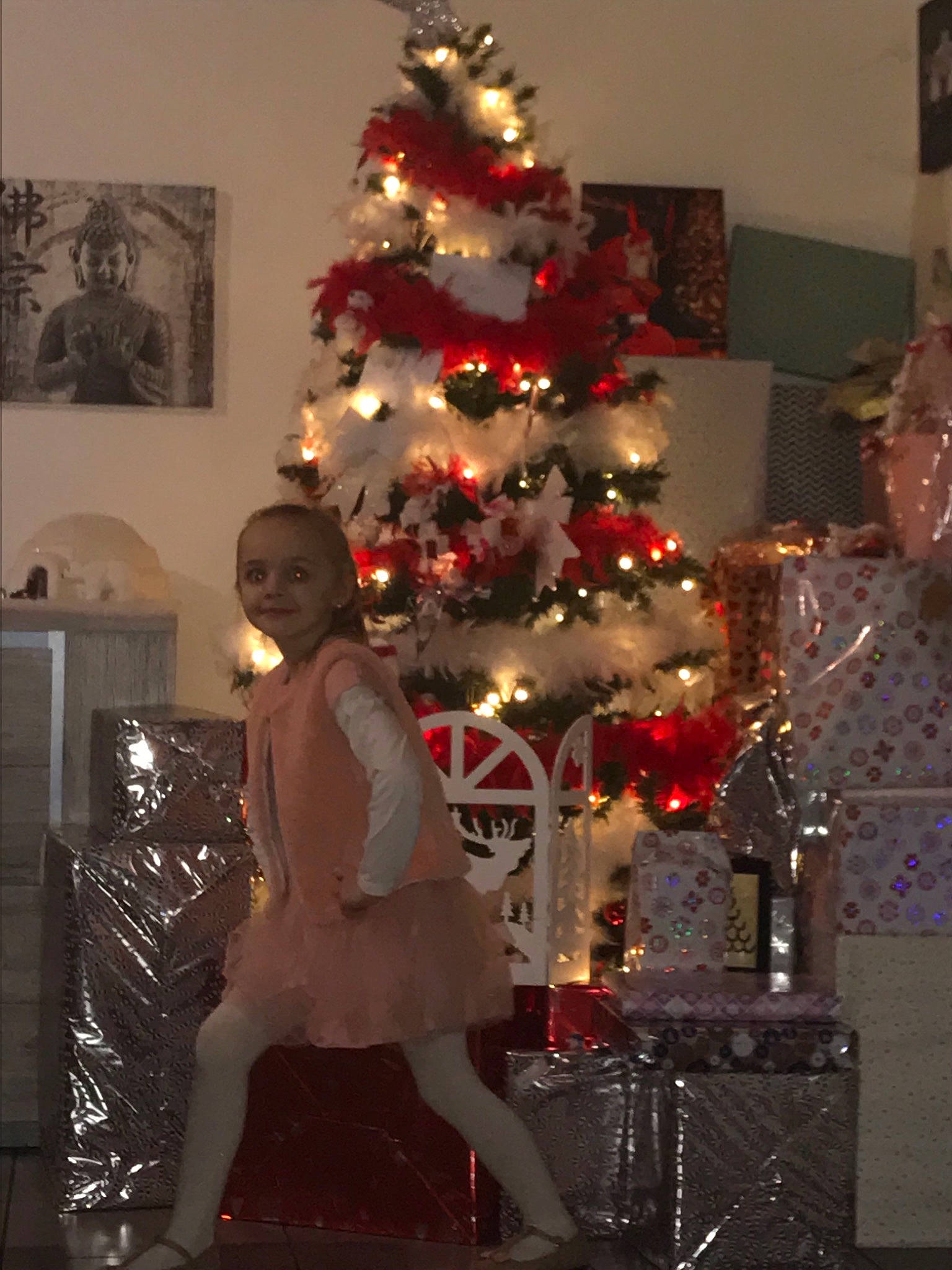 Madison a rejoint le concours — aidez-le/la à gagner de superbes lots ! christmas, christmas_decoration, christmas_eve, christmas_ornament, christmas_tree, conifer, event, fir, holiday, holiday_ornament, home, interior_design, person, pine, pine_family, plant, room, spruce, tradition, tree