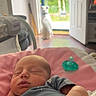 newborn, baby, sleeping, pacifier, blanket, blue_clothing, hand, dog, door, open_door, indoor, home, floor, natural_light, greenery, window, peaceful, resting, pet, wooden_floor