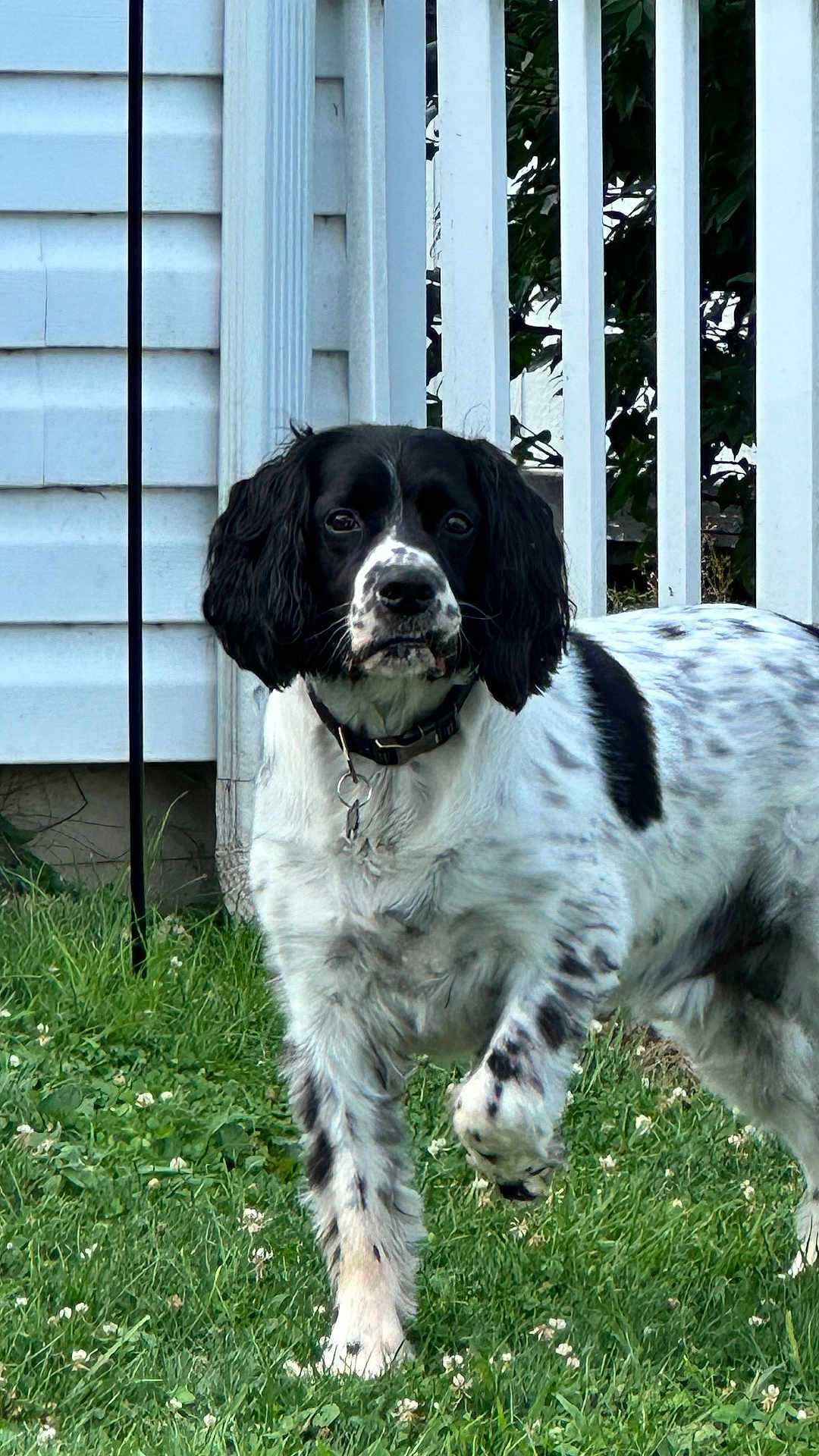 Barkley