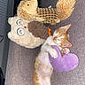 kitten, cat, sleeping, plush_toy, purple_heart, hedgehog_toy, owl_toy, couch, gray_fabric, pet, cute, nap, cozy, indoor, feline, young_animal, resting, soft_texture, stuffed_animal, animal