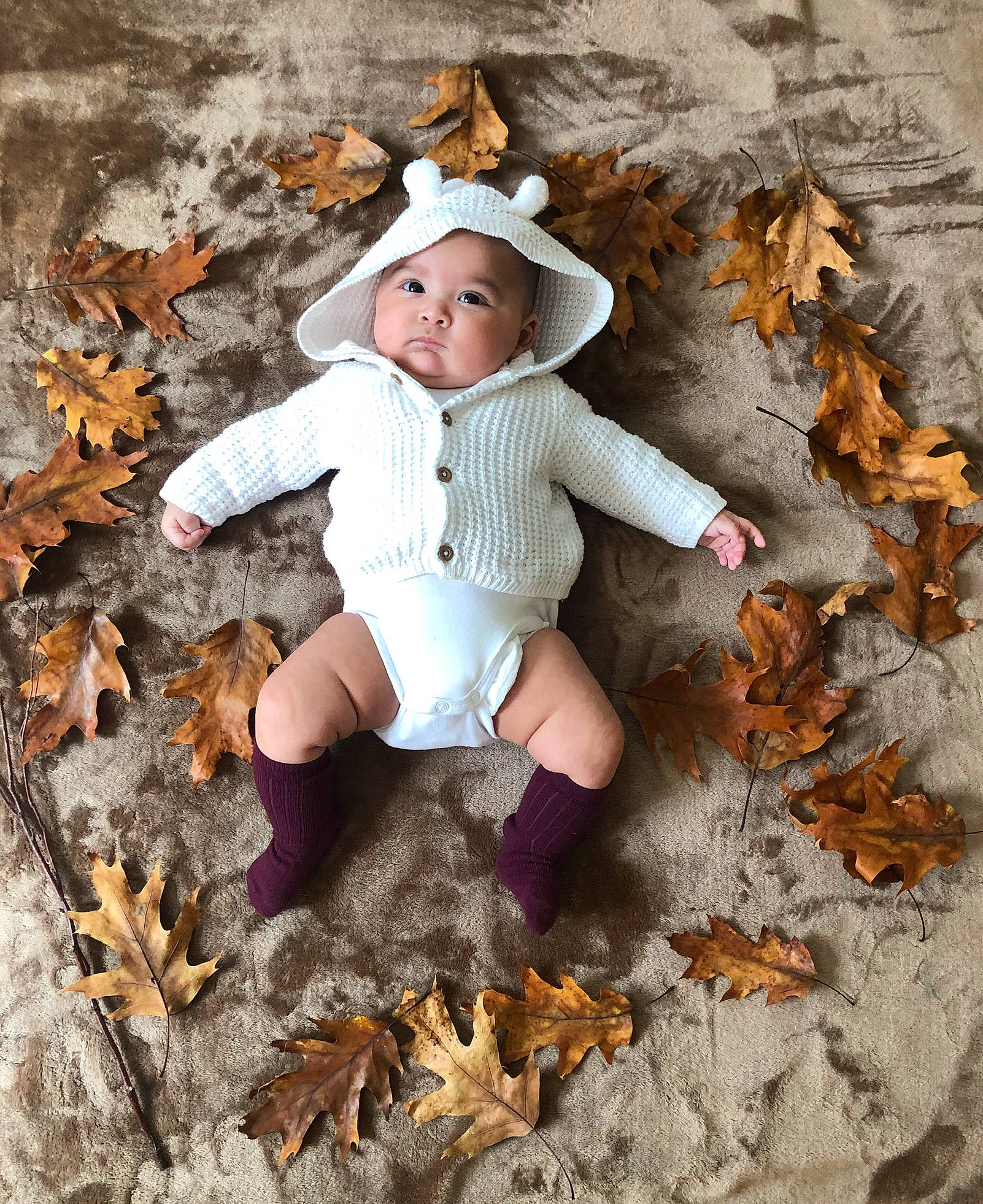 Valerie Diaz joined the competition — help win amazing prizes! autumn, baby, child, leaf, person, photography, smile, toddler, tree