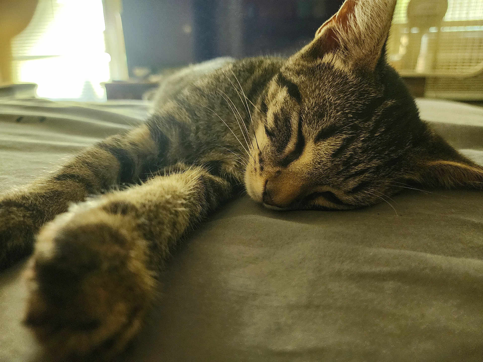Tom