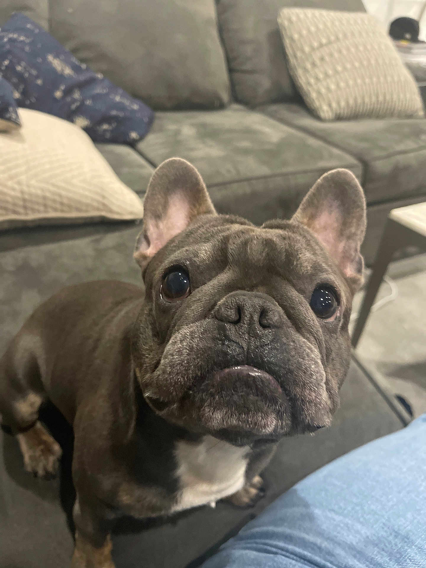 Prince