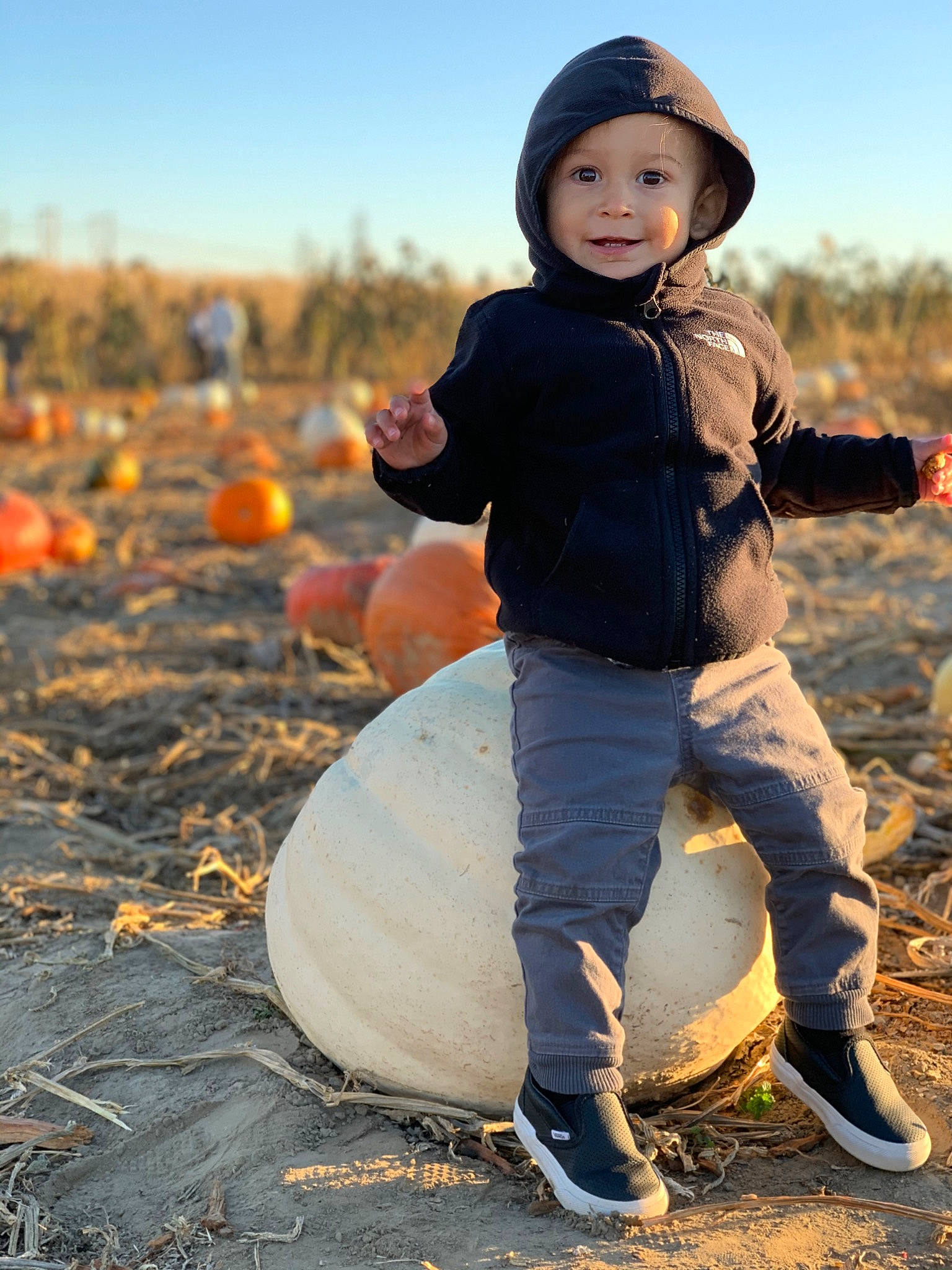 Kiyan is registered to the contest to win money with this photo: autumn, calabaza, child, child_model, fun, happy, joy, people_in_nature, person, photography, play, pumpkin, smile, toddler, tree, winter