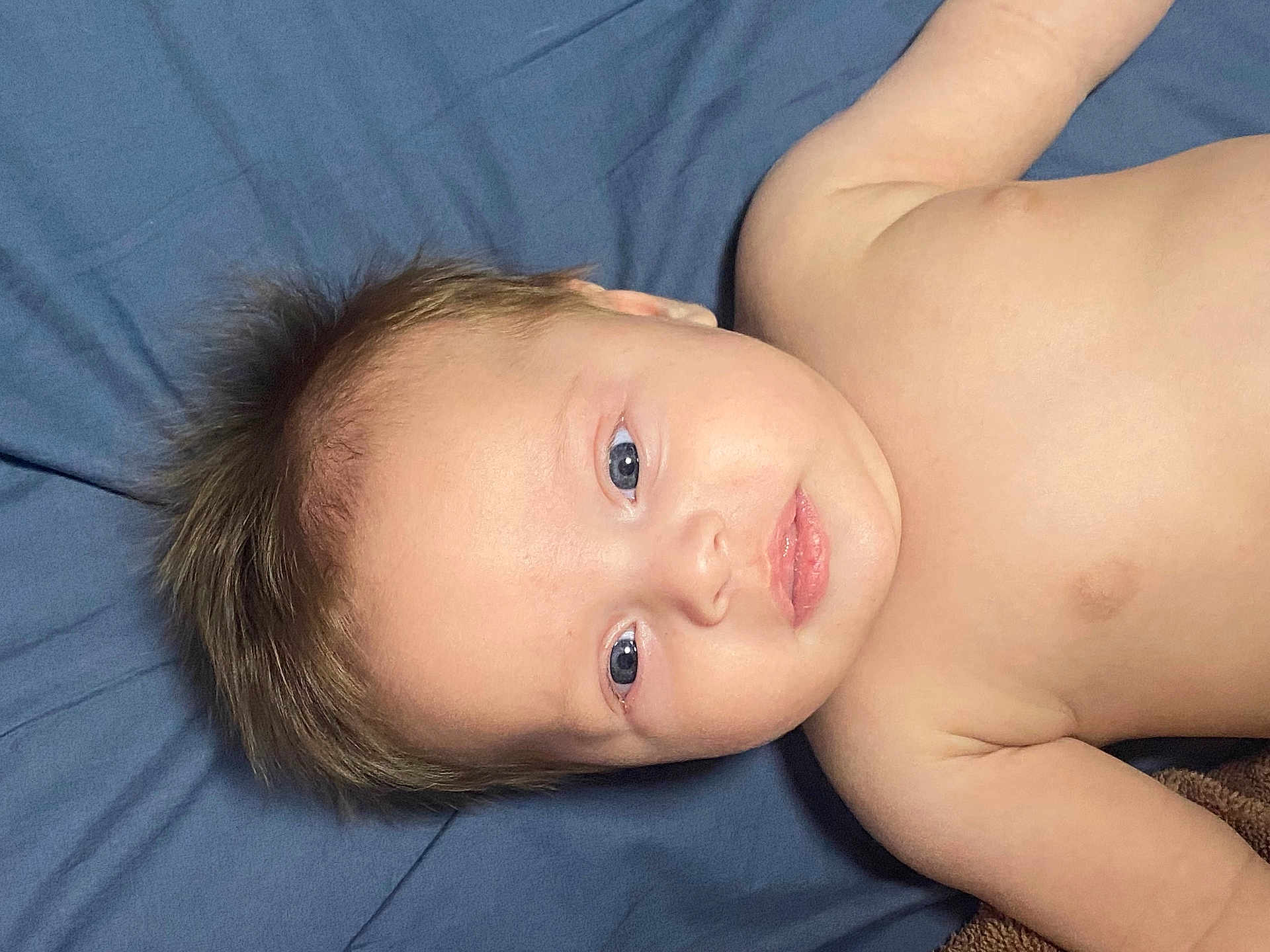 Gabriel a rejoint le concours — aidez-le/la à gagner de superbes lots ! baby, infant, face, skin, blue_sheet, lying_down, child, young, portrait, bare_chest, curly_hair, expression, looking, human, person, cute, soft_light, indoors, closeup, head