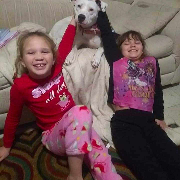 Elsa joined the competition — help win amazing prizes! baby, child, comfort, companion_dog, couch, dog, dog_breed, event, fawn, fun, happy, lap, leg, leisure, magenta, pink, sitting, smile, t_shirt, toddler