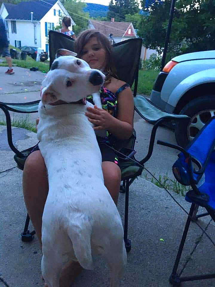 Elsa joined the competition — help win amazing prizes! automotive_lighting, car, carnivore, chair, companion_dog, dog, dog_breed, fawn, leash, leisure, motor_vehicle, plant, snout, tail, tire, toy, tree, vehicle_door, wheel, working_animal