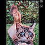 cat, blue_eyes, grass, outdoor, pet, animal, feline, stretching, close_up, nature, leafy_background, cute, whiskers, fur, playful, domestic_cat, tabby, focus, paw, portrait
