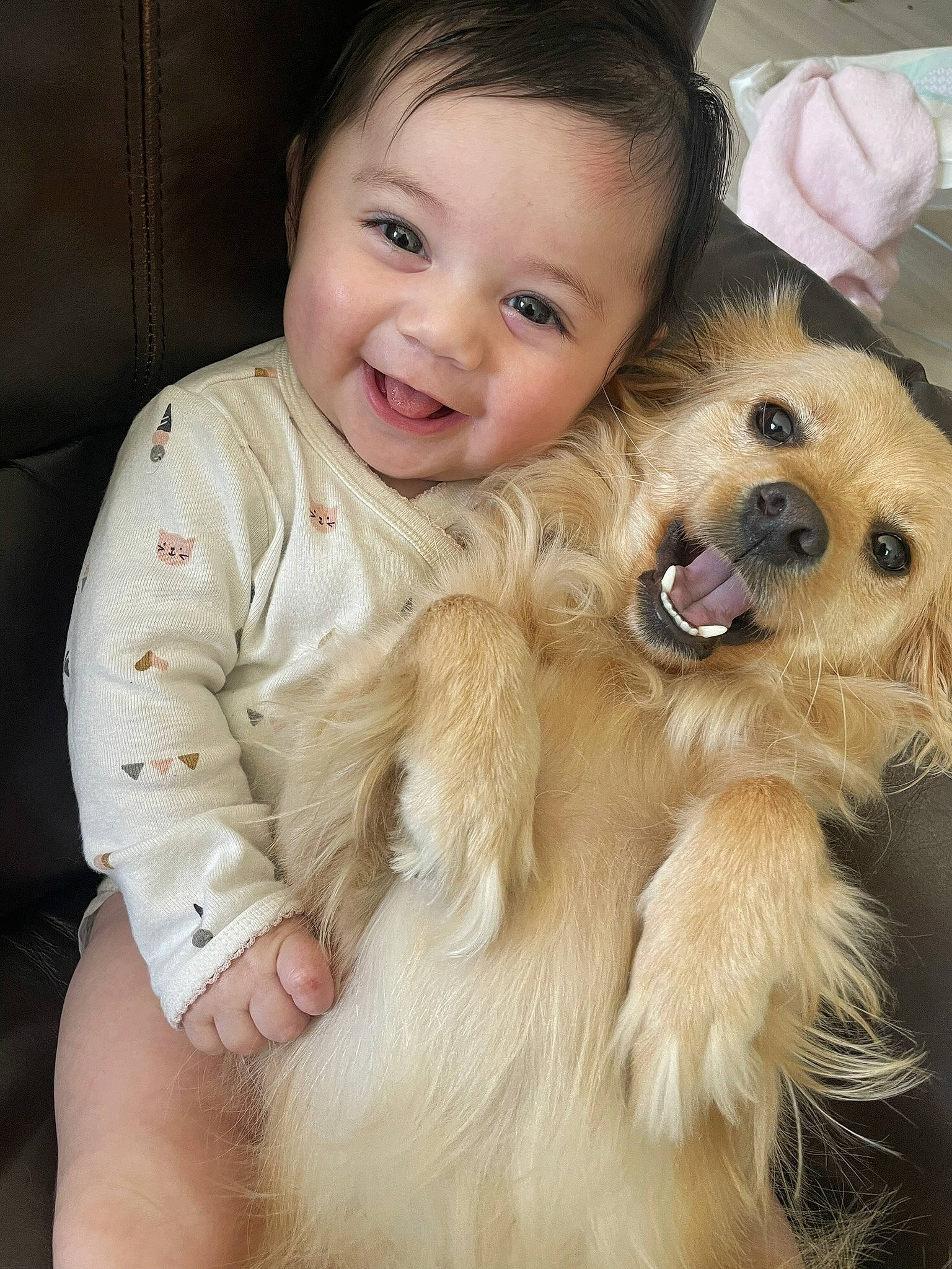 Harlie is registered to the contest to win money with this photo: baby_toddler_clothing, blond, carnivore, child, companion_dog, dog, dog_breed, eye, face, fawn, fur, hair, happy, head, joy, long_hair, outerwear, person, skin, sleeve