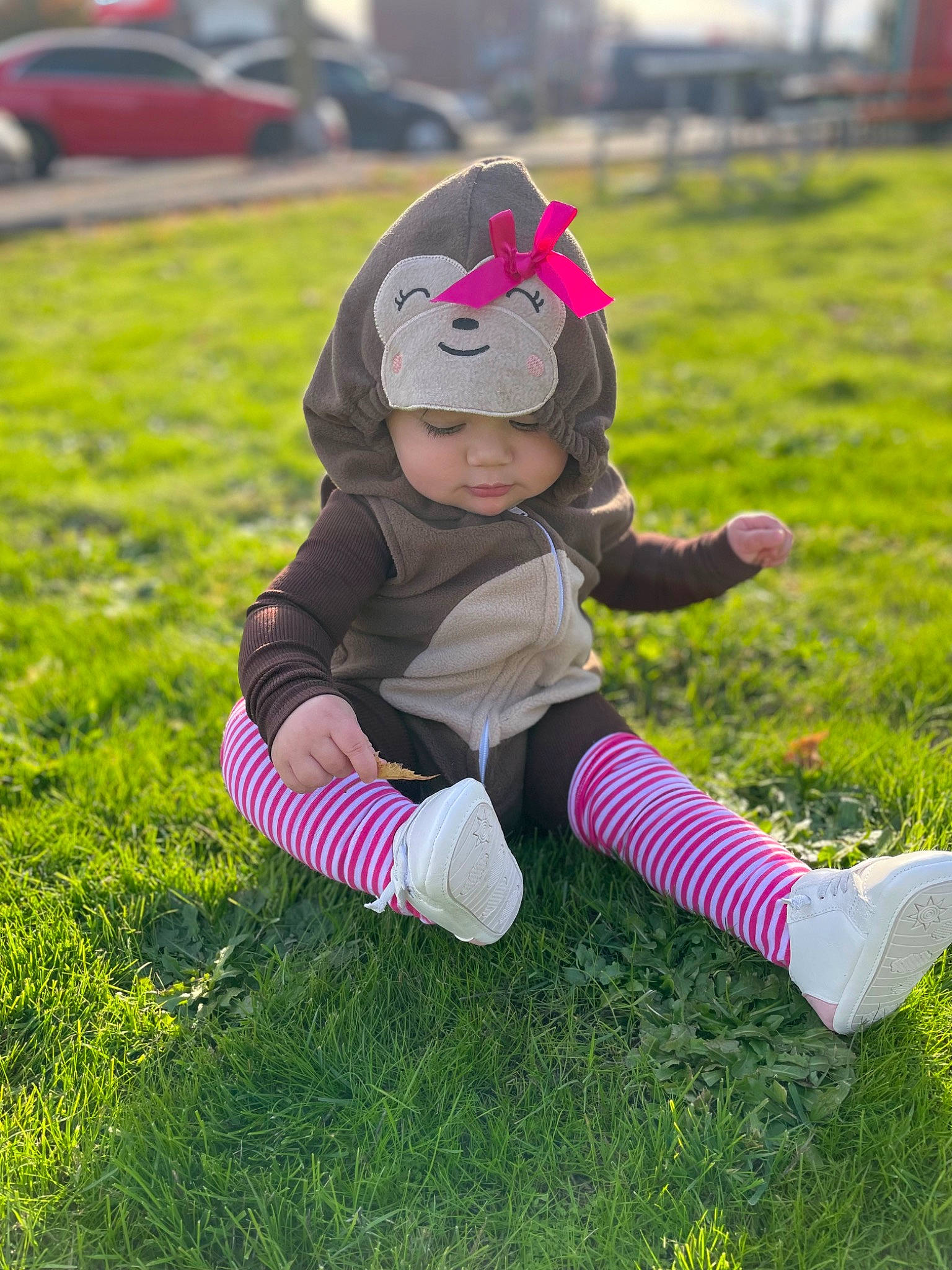 Harlie is registered to the contest to win money with this photo: baby, child, grass, grassland, happy, hat, headwear, jacket, lawn, leaf, leisure, magenta, meadow, outerwear, people_in_nature, person, pink, plant, recreation, sitting