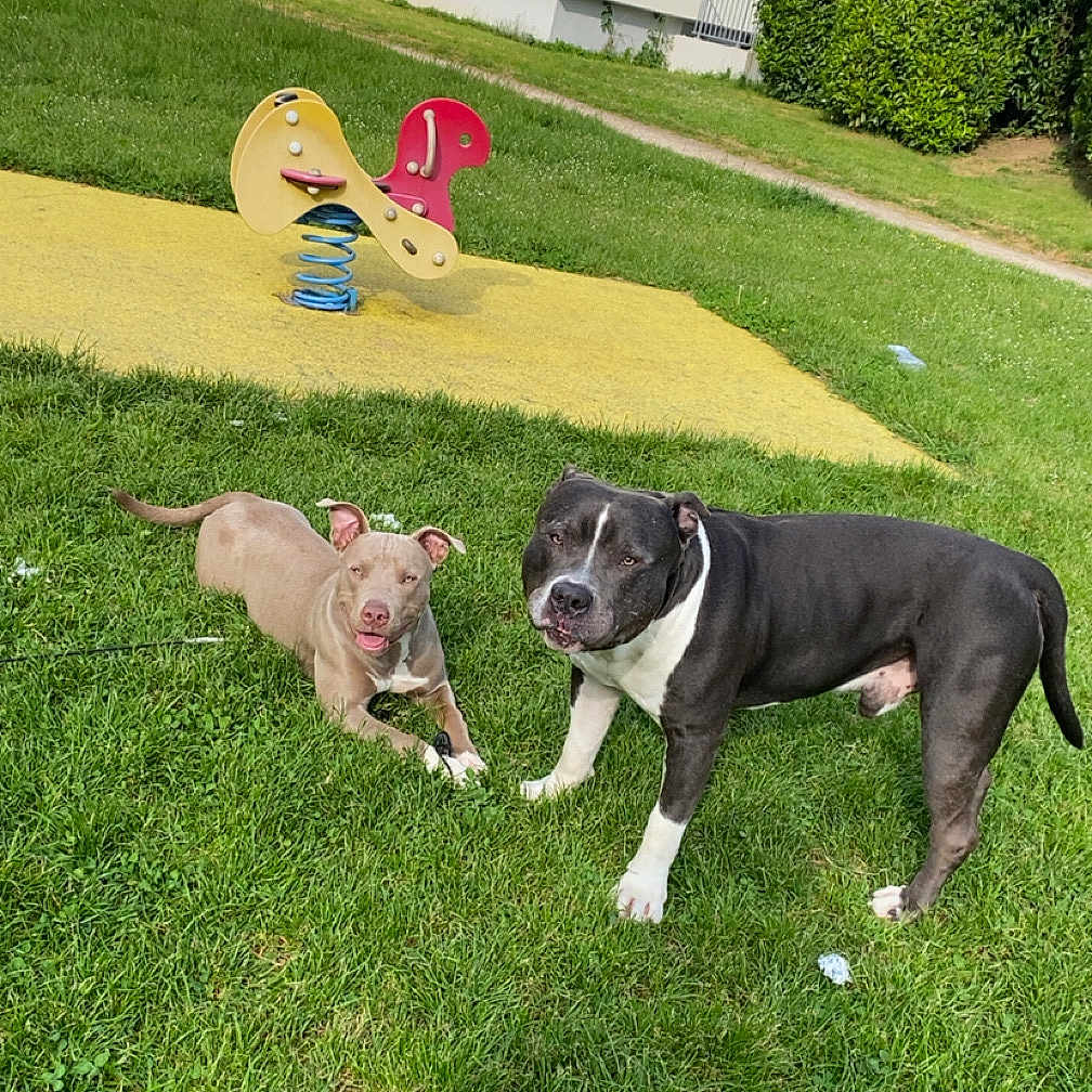 Paco