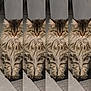 Mila a rejoint le concours — aidez-le/la à gagner de superbes lots ! cat, tabby, fluffy, animal, pet, indoor, carpet, sitting, fur, four_times, repetition, striped, cute, feline, whiskers, ears, paws, alert, mammal, domestic