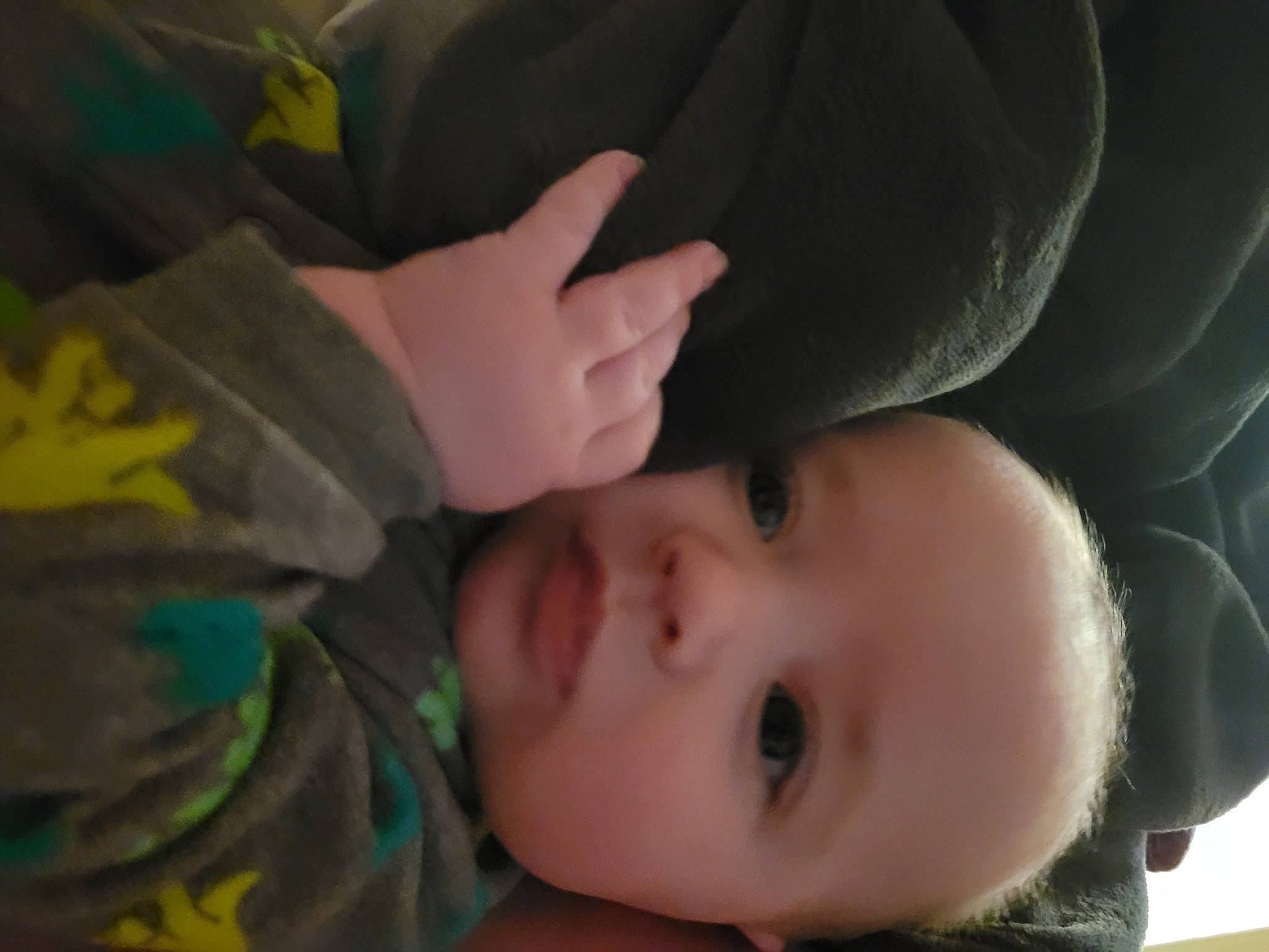 Cole joined the competition — help win amazing prizes! baby, black_hair, cheek, child, comfort, eyebrow, eyelash, finger, flash_photography, fun, gesture, grass, happy, headgear, mouth, nose, person, plant, skin, toddler