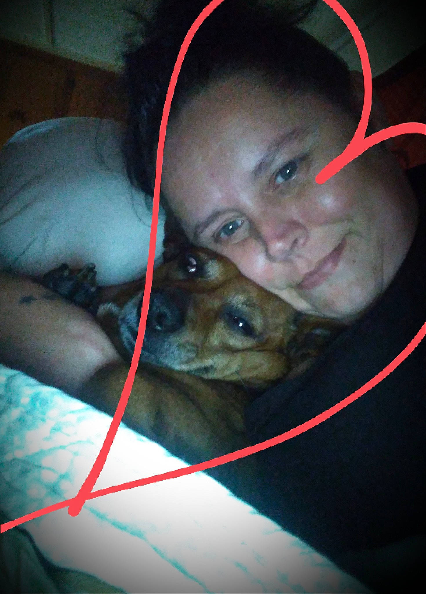 Jack is registered to the contest to win money with this photo: cap, carnivore, companion_dog, dog, dog_breed, ear, electric_blue, eyebrow, eyelash, fawn, fun, iris, jaw, mammal, mouth, nose, selfie, smile, snout, whiskers