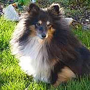 Opale a rejoint le concours — aidez-le/la à gagner de superbes lots !