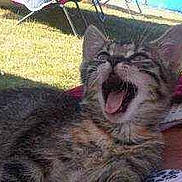 Gloria a rejoint le concours — aidez-le/la à gagner de superbes lots !