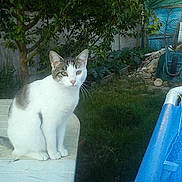 Gigi a rejoint le concours — aidez-le/la à gagner de superbes lots !