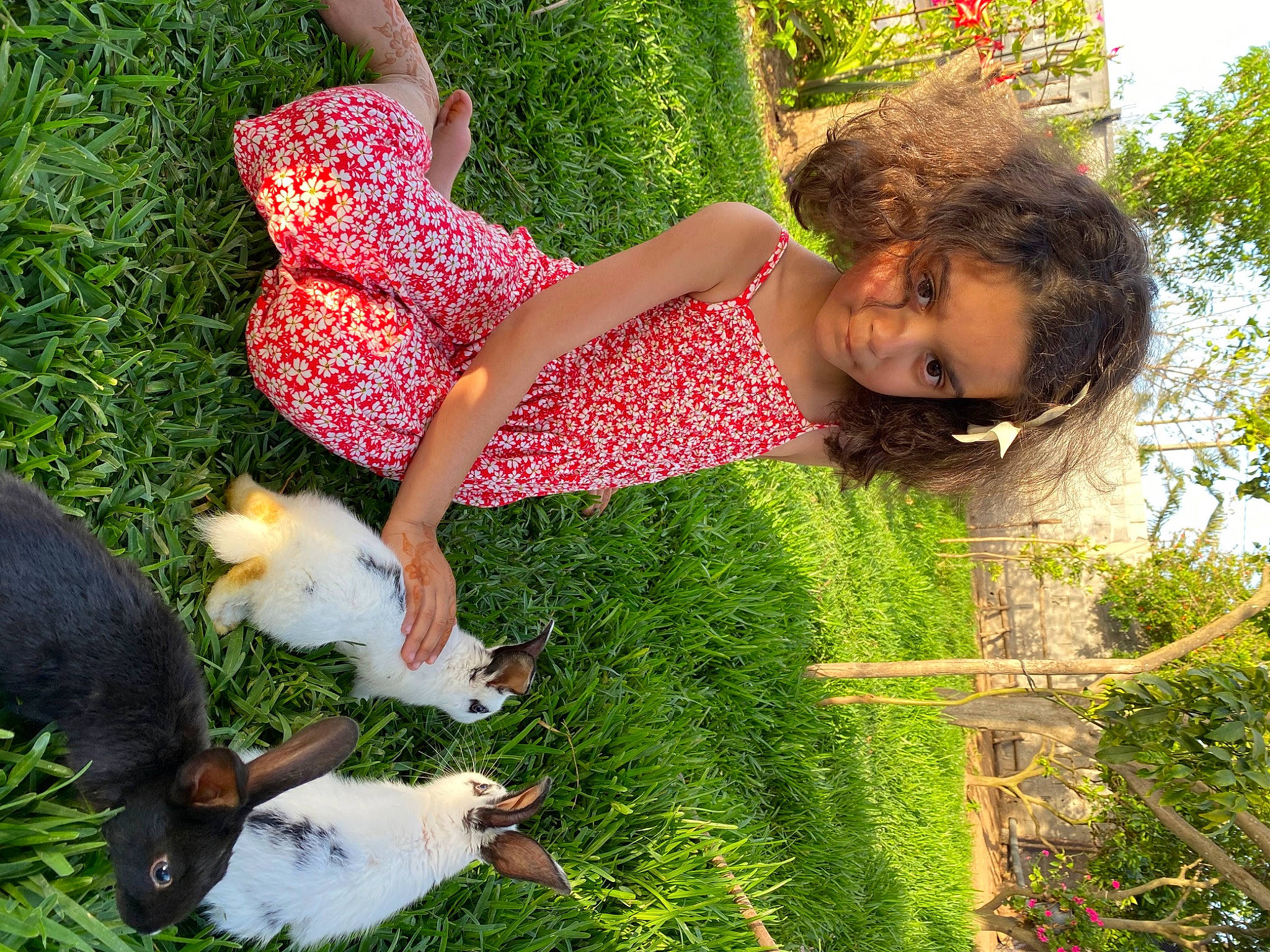 Jasmine participe au concours pour gagner de l'argent avec cette photo : botany, companion_dog, dog, dog_breed, fun, garden, grass, grass_family, green, happy, lawn, leisure, pattern, people_in_nature, person, plant, shrub, smile, spring, tail