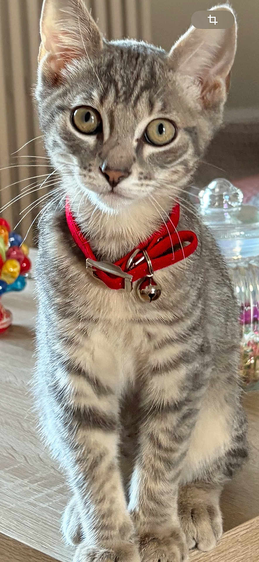 Titou