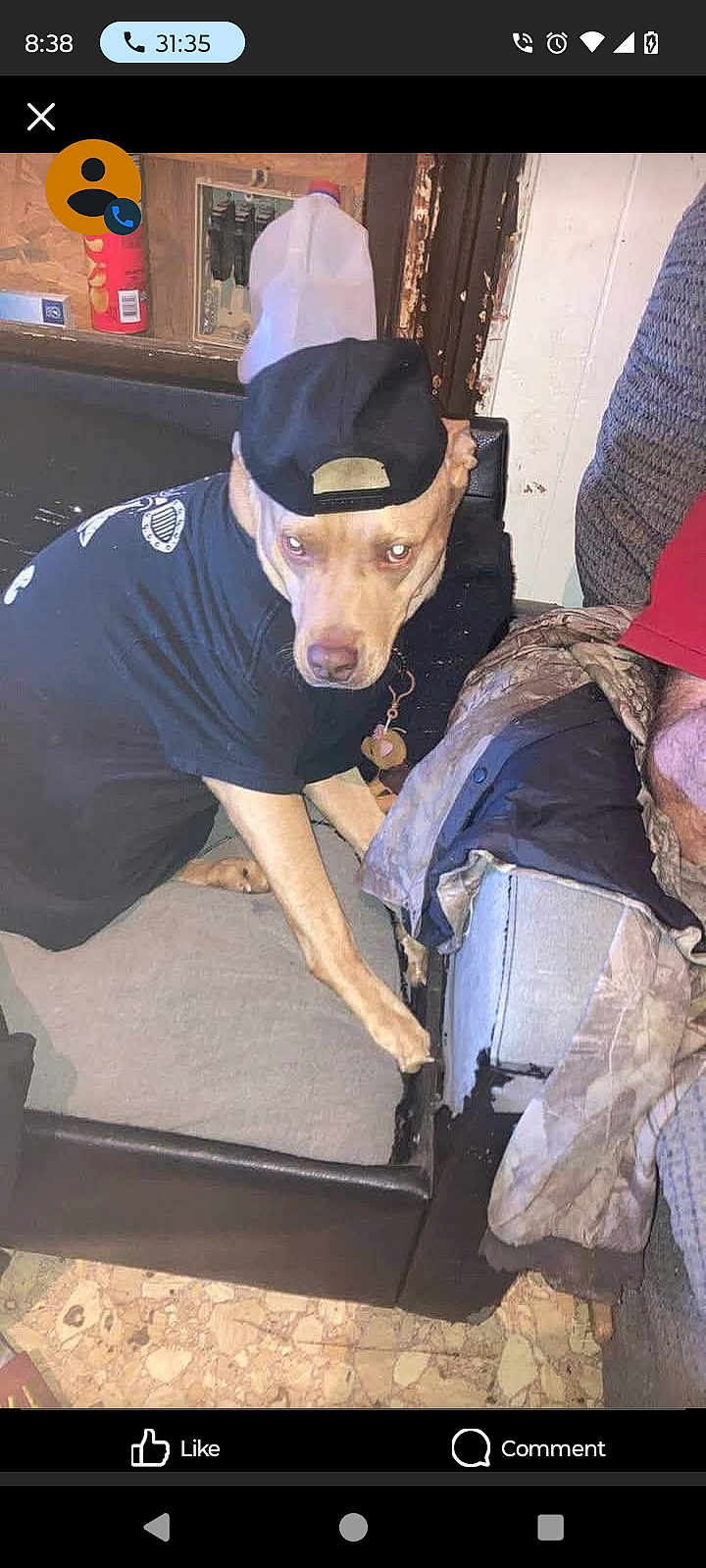 Diesel