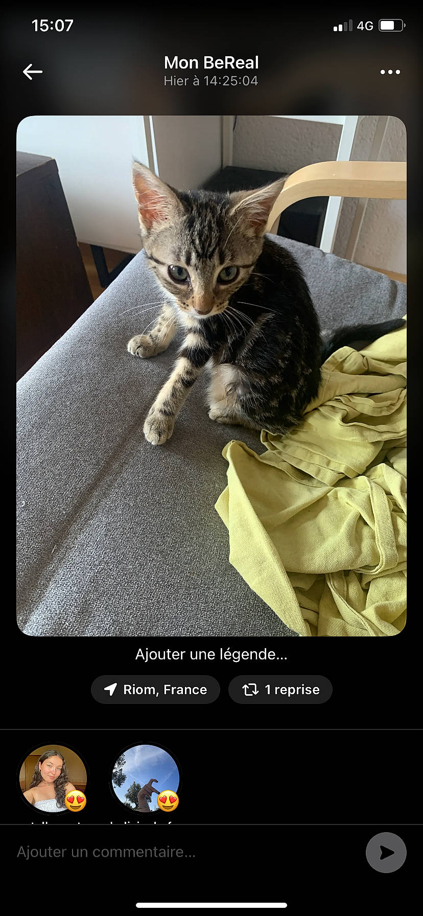 Betty participe au concours pour gagner de l'argent avec cette photo : carnivore, cat, cat_supply, comfort, communication_device, domestic_short_haired_cat, felidae, font, fur, gadget, gesture, multimedia, output_device, photograph, portable_communications_device, screenshot, small_to_medium_sized_cats, snapshot, whiskers, white