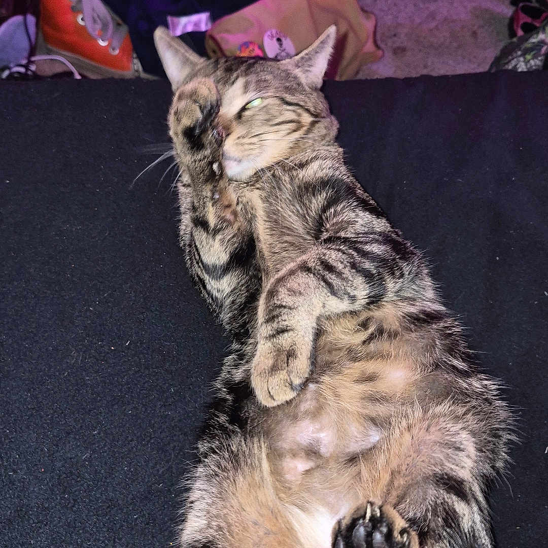 Remy