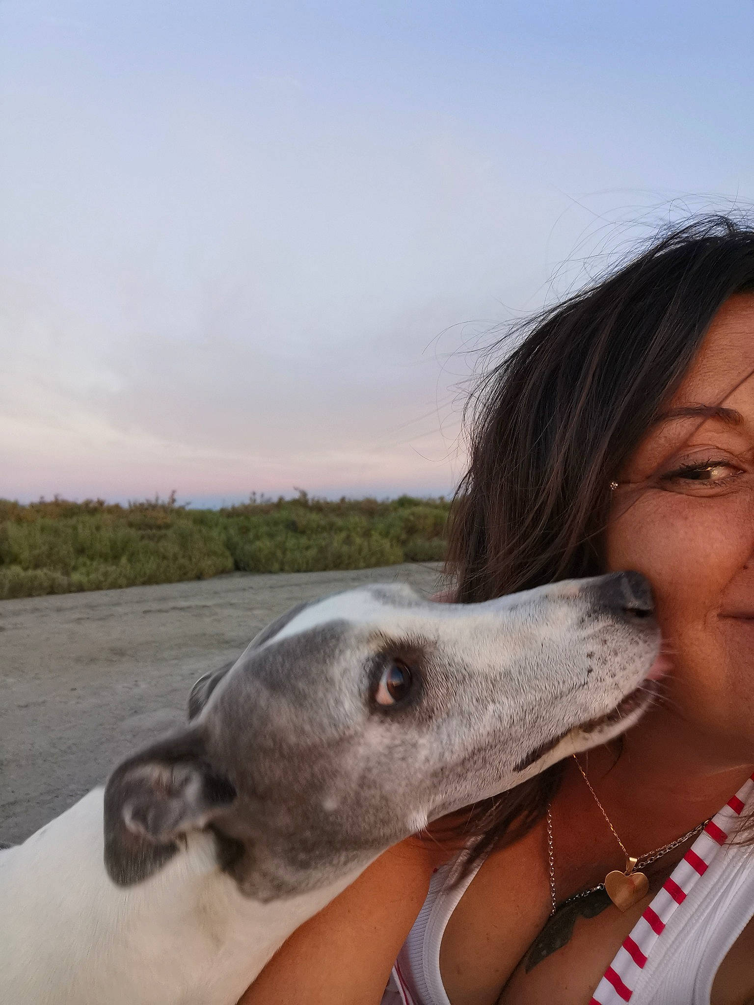 Fun participe au concours pour gagner de l'argent avec cette photo : canidae, dog_breed, event, fawn, fun, happy, head, jaw, jewellery, landscape, livestock, sighthound, sky, smile, snout, sporting_group, terrestrial_animal, travel, vacation, working_animal