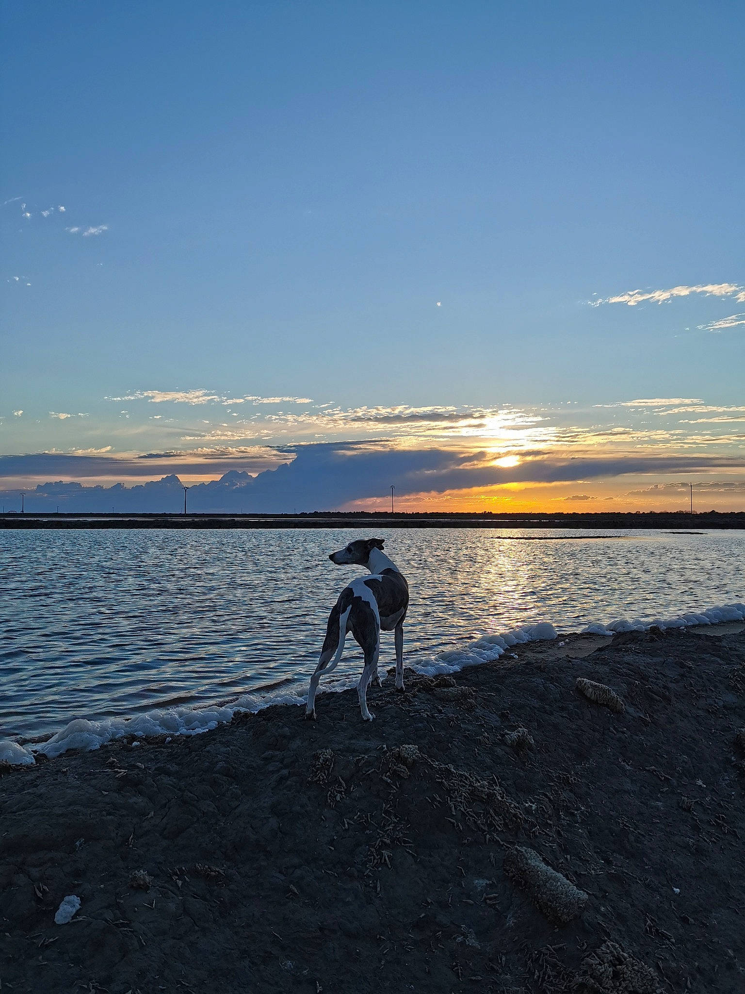 Fun participe au concours pour gagner de l'argent avec cette photo : afterglow, bank, beach, calm, cloud, coastal_and_oceanic_landforms, dawn, dusk, happy, horizon, lake, landscape, people_in_nature, sand, sky, sunrise, sunset, tree, water, wind_wave