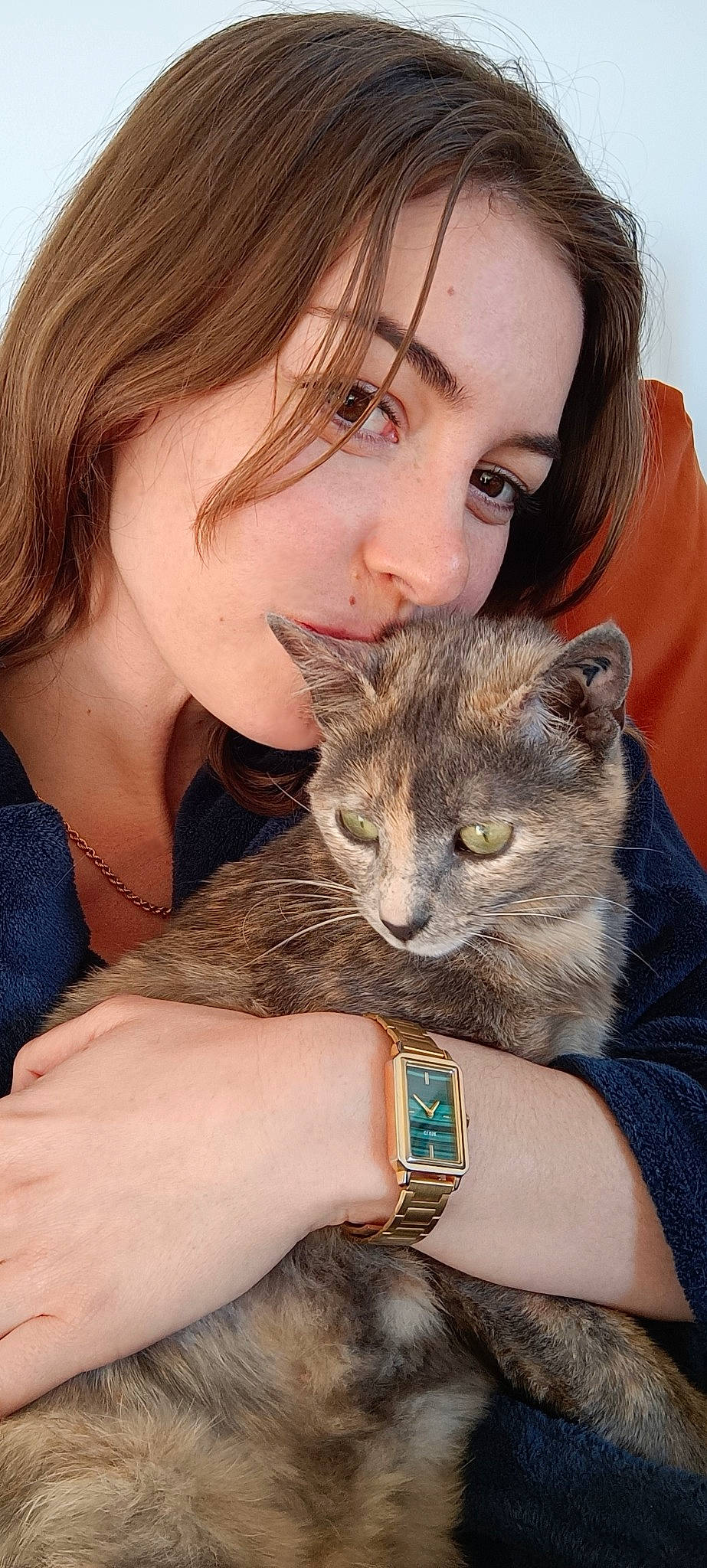 Pumpkin participe au concours pour gagner de l'argent avec cette photo : brown_hair, carnivore, cat, comfort, domestic_short_haired_cat, ear, eyelash, fawn, felidae, fur, gesture, happy, iris, jewellery, organ, skin, small_to_medium_sized_cats, watch, whiskers, wrist