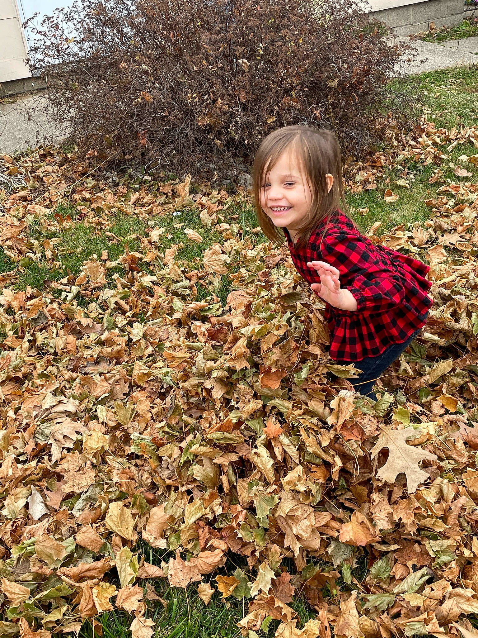 Makennah joined the competition — help win amazing prizes! autumn, child, deciduous, garden, grass, grass_family, groundcover, happy, joy, landscape, pattern, people_in_nature, person, plant, smile, soil, tints_and_shades, toddler, tree, wood