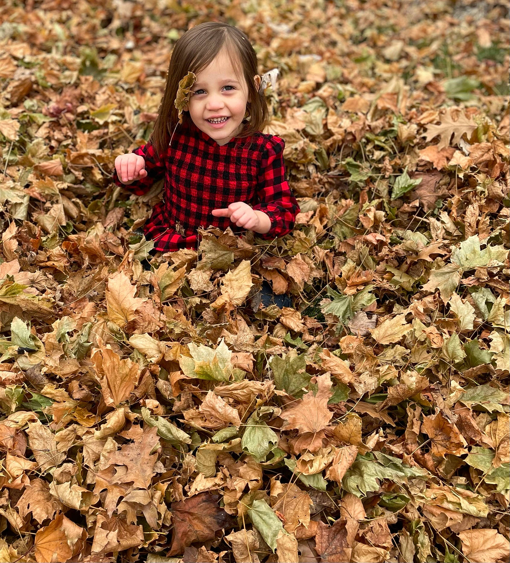 Makennah joined the competition — help win amazing prizes! adaptation, baby_toddler_clothing, child, clothing, deciduous, eye, face, facial_expression, grass, happy, head, joy, leaf, people_in_nature, person, plant, pumpkin, smile, soil, toddler