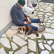 Falko Et Minette a rejoint le concours — aidez-le/la à gagner de superbes lots ! man, cat, dog, outdoor, stone_patio, pet_food, sitting, gray_sweater, jeans, boots, hat, glasses, calico_cat, white_dog, collar, pavement, wall, relaxing, companionship, feeding