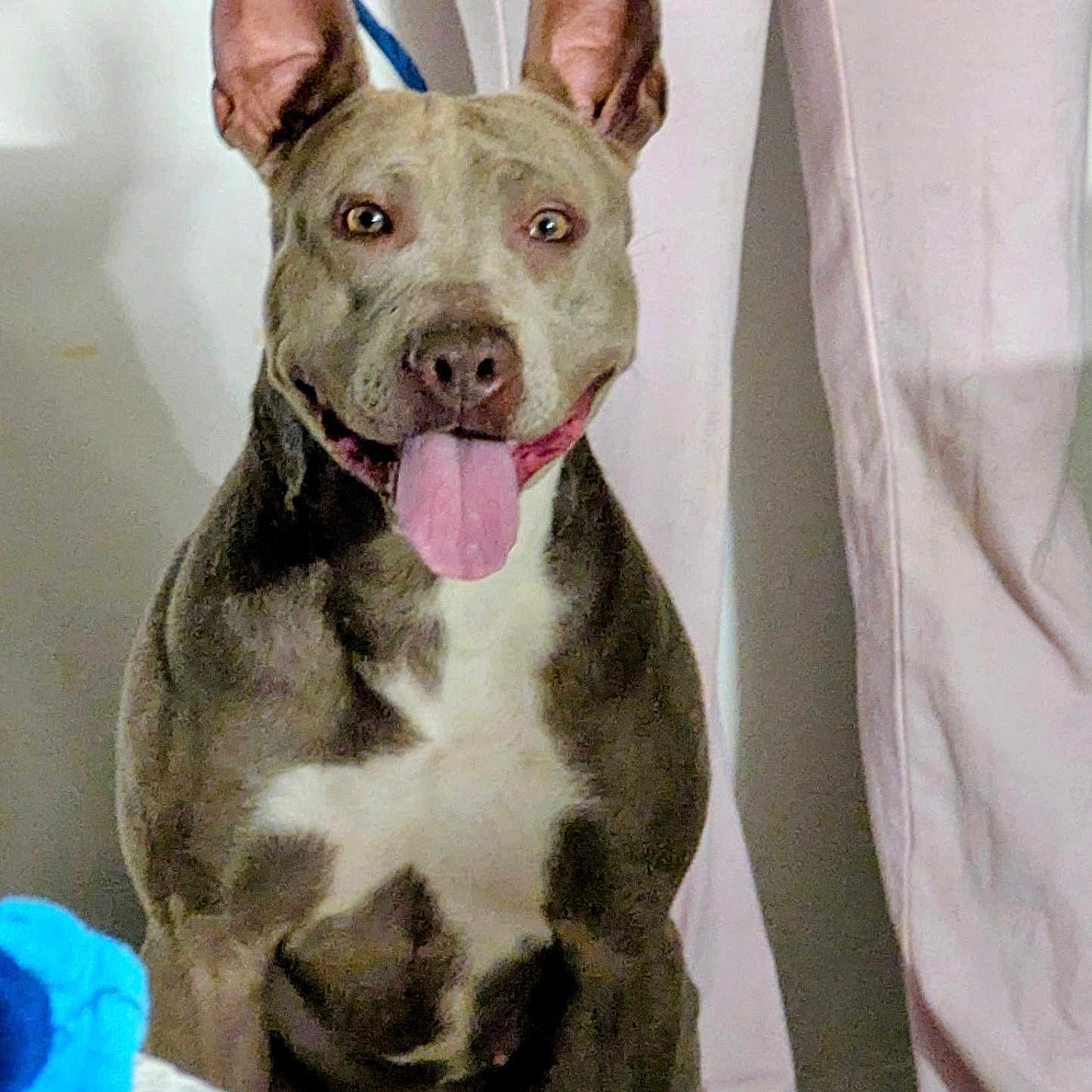 Tyson