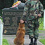Chien participe au concours pour gagner de l'argent avec cette photo :