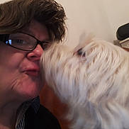 Jessie participe au concours pour gagner de l'argent avec cette photo : canidae, carnivore, dog, dog_breed, ear, fur, glasses, interaction, nose, puppy_love, tibetan_terrier, west_highland_white_terrier