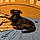Layla