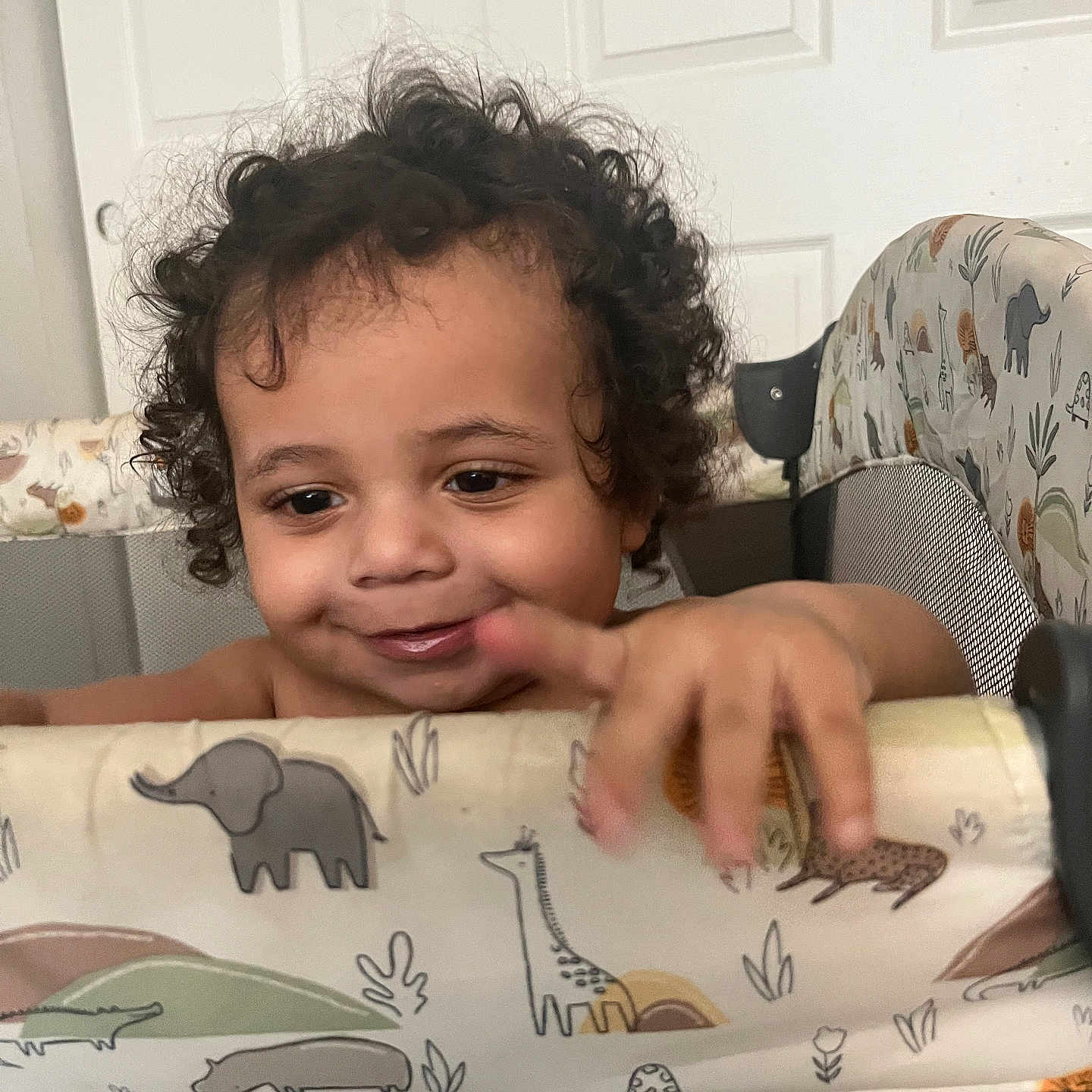 Zavain is registered to the contest to win money with this photo: toddler, child, baby, curly_hair, smiling, face, portrait, indoors, playpen, highchair, padded_rail, animal_pattern, elephant, giraffe, crocodile, door, furniture, hands, happy, photography