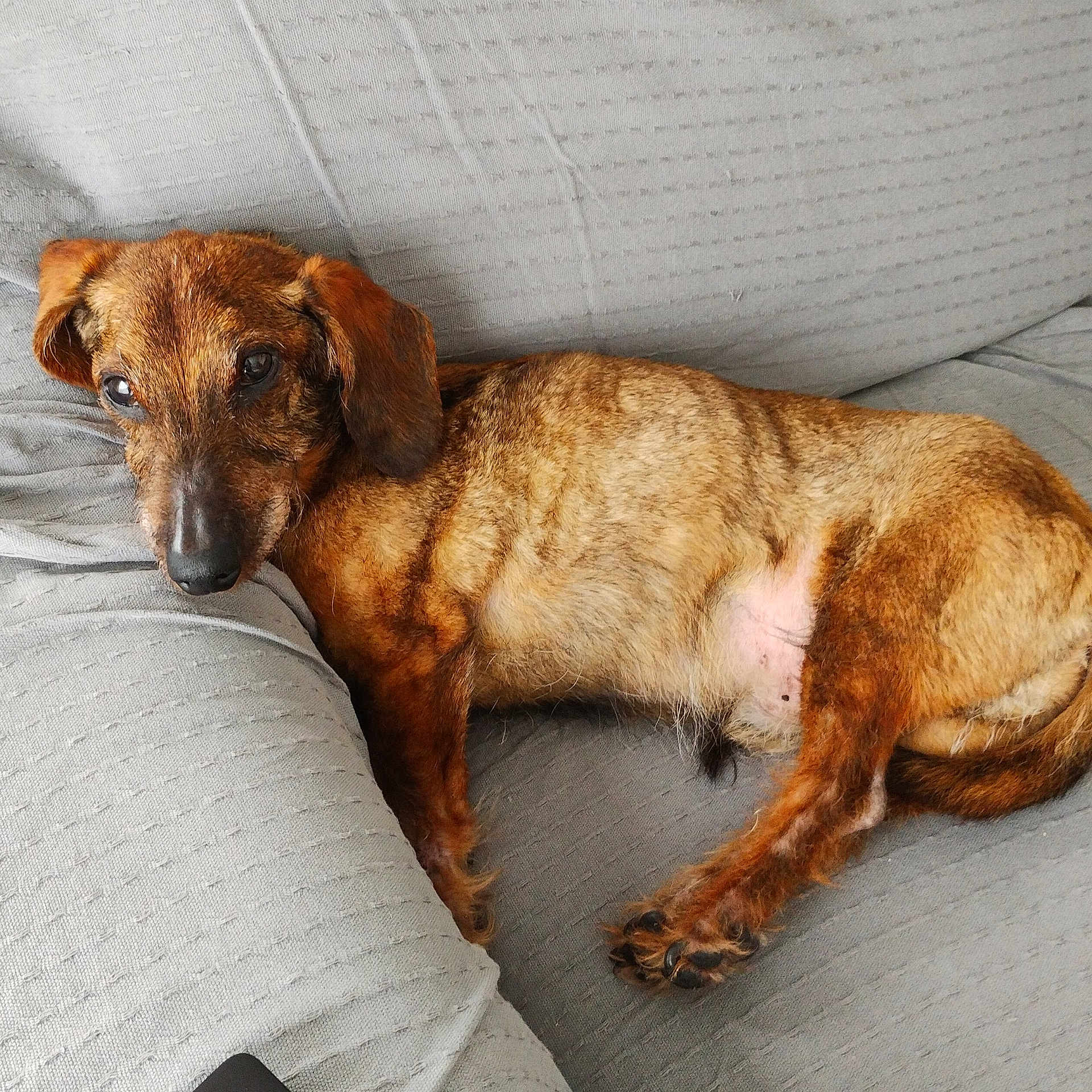 Popop