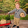 Kayden is registered to the contest to win money with this photo: child, toddler, smiling, blonde_hair, grey_sweater, reindeer_design, khaki_pants, black_shoes, red_wagon, woven_pumpkin, green_plant, wooden_deck, outdoor, autumn, fall, decorations, happy, cute, portrait, seasonal