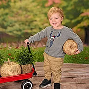 Kayden is registered to the contest to win money with this photo: child, toddler, smiling, blonde_hair, grey_sweater, reindeer_design, khaki_pants, black_shoes, red_wagon, woven_pumpkin, green_plant, wooden_deck, outdoor, autumn, fall, decorations, happy, cute, portrait, seasonal