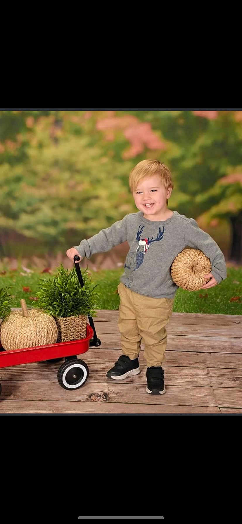 Kayden is registered to the contest to win money with this photo: child, toddler, smiling, blonde_hair, grey_sweater, reindeer_design, khaki_pants, black_shoes, red_wagon, woven_pumpkin, green_plant, wooden_deck, outdoor, autumn, fall, decorations, happy, cute, portrait, seasonal