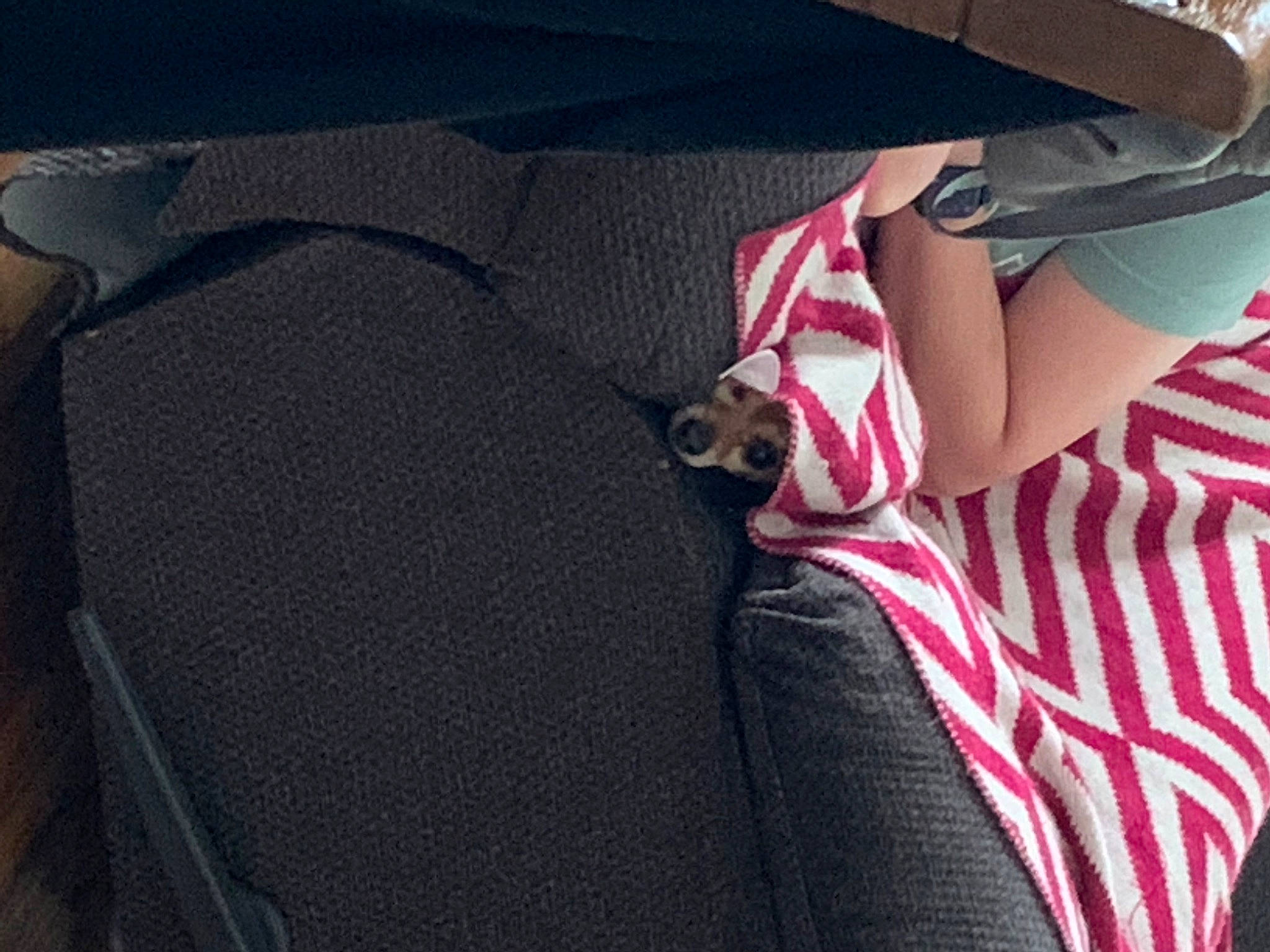 Derf joined the competition — help win amazing prizes! bag, comfort, dress, elbow, eyewear, grey, human_leg, knee, leg, linens, plaid, shorts, shoulder, sleeve, sportswear, sunglasses, t_shirt, thigh, tints_and_shades, waist