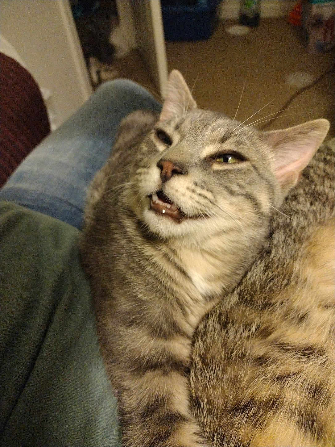 Peety